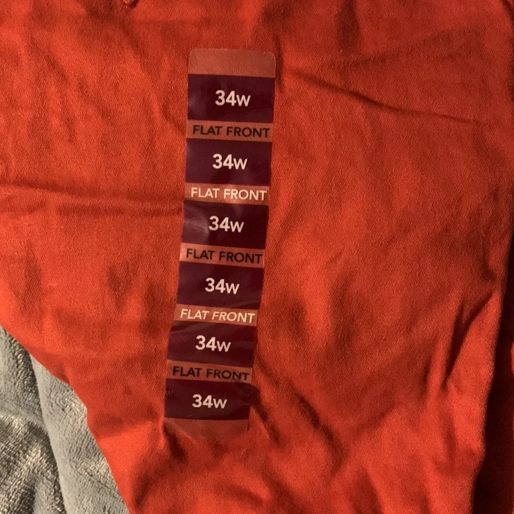 Shorts - Picture 2 of 2